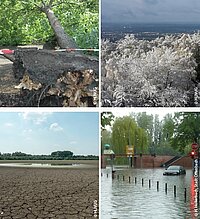 Bilder von Klimafolgen wie Sturm, Starkregen, Dürre