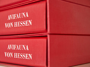 Zwei Buchrücken der Avifauna von Hessen.