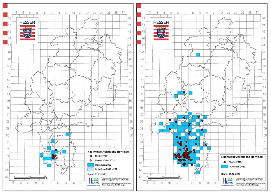 Ausbreitung der Asiatischen Hornisse in den Jahren 2019-2022 (links) und 2023 (rechts)