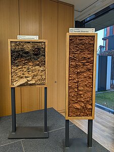 Kastenprofile Kohlenmeilerboden und Roterde