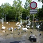 Hochwasser auf versiegelter Fläche
