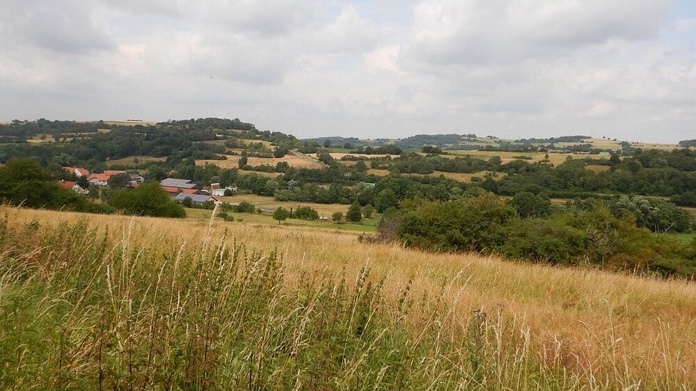 Das Vogelschutzgebiet Hoher Vogelsberg mit Blick auf Wiesen und Feldgehölze.