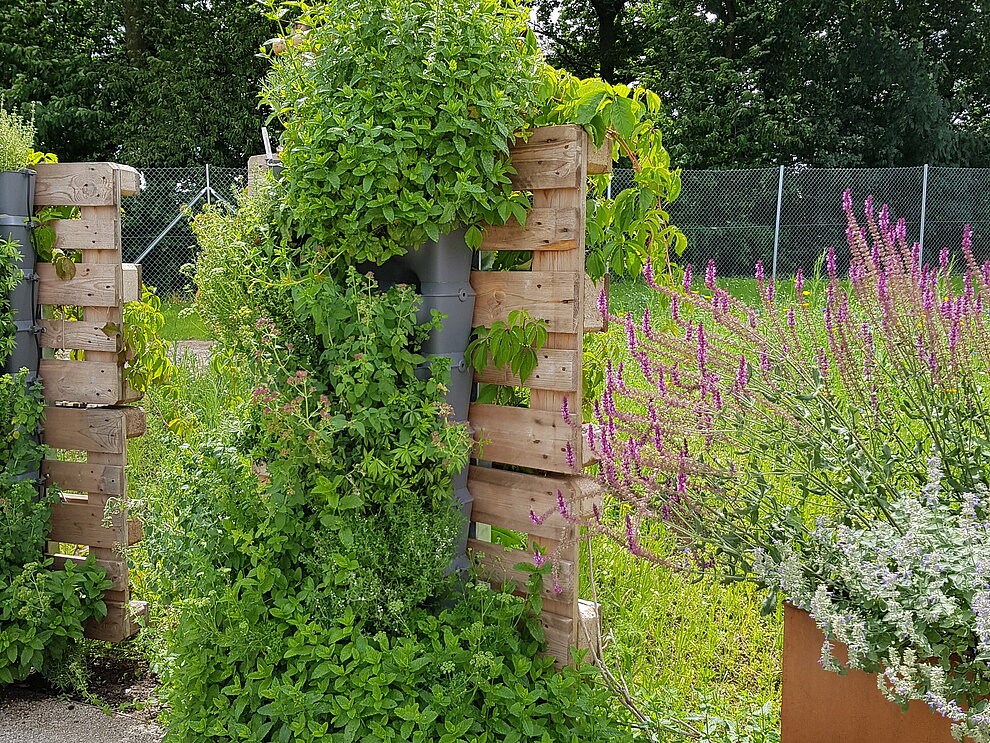 Foto des Kräutergartens in vertikaler, wandgebunder Umsetzung