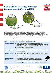 Titelseite von Praxisblatt zu den Lebensraumtypen 6510 und 6520