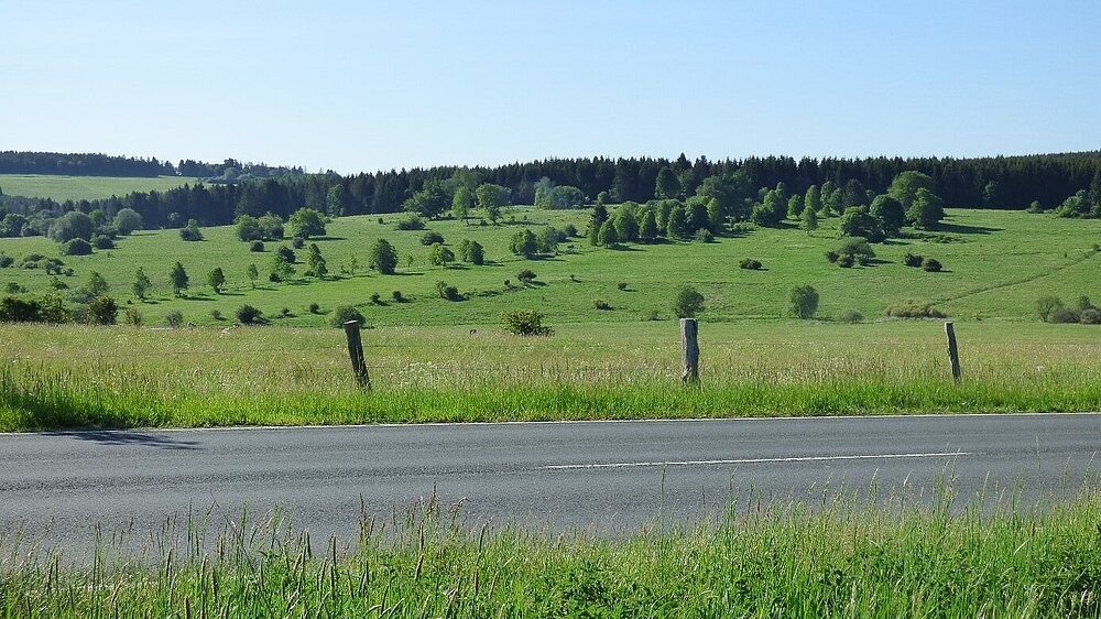 Blick auf das Vogelschutzgebiet Hoher Westerwald mit einer Straße im Vordergrund und Grünland und Wälder im Hintergrund.