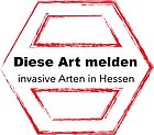 DieseArt_melden.jpg