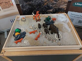 eine flache Kiste, gefüllt mit Sand, Mammuts und Säbelzahntigern