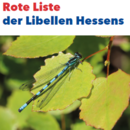 RL_Libellen_aktuelles.png