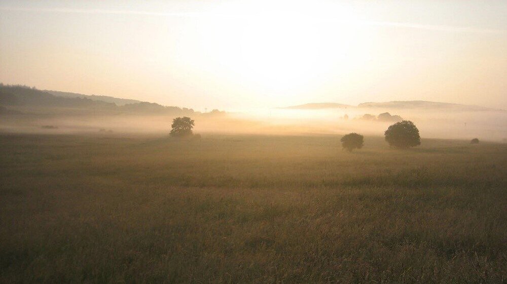 Blick auf das Vogelschutzgebiet Wiesentäler um Hohenahr und die Aartalsperre mit Blick auf nebelverhangenem Grünland in der Morgendämmerung.