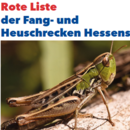 RL_Fang_und_Heuschrecken_aktuelles.png