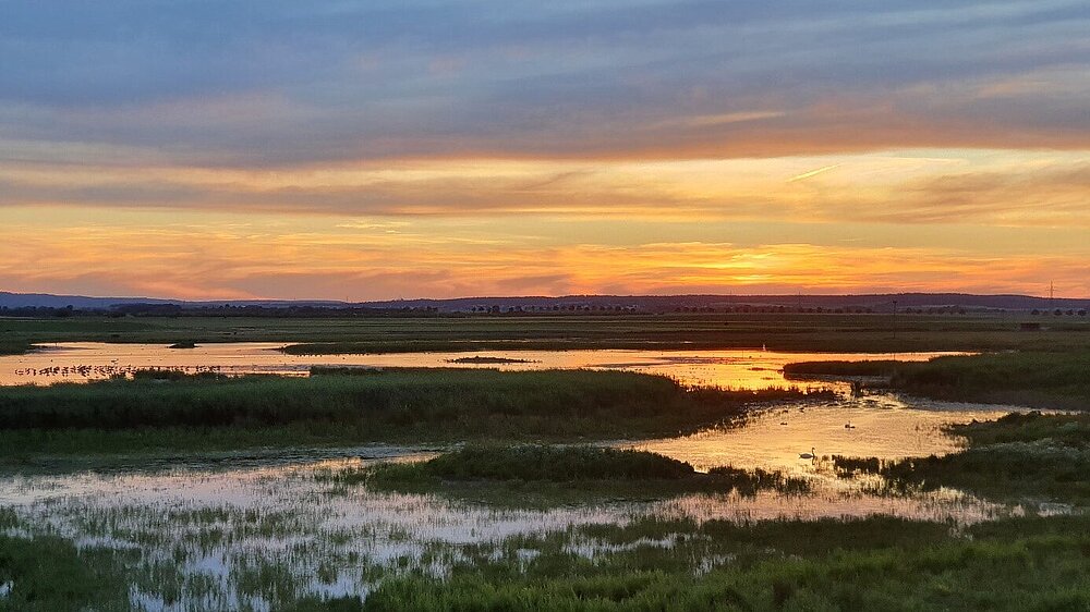 Das Vogelschutzgebiet Wetterau mit stehenden Gewässern und Grünland in der Abenddämmerung.