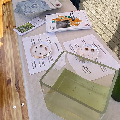 Informationsmaterial