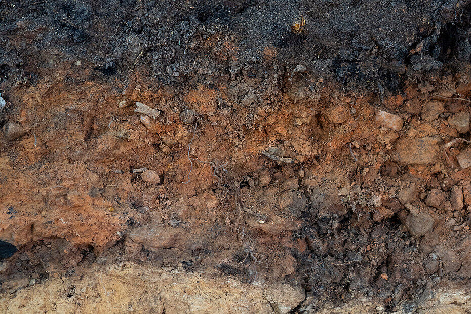 Kohlenmeilerboden aus dem Taunus 