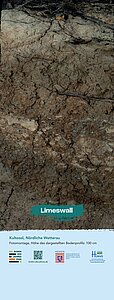 Bodenprofil Limesboden