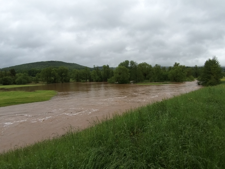 Retentionsraum bei Steinau an der Kinzig