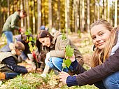 Teilnehmenende im FÖJ pflanzen Bäume