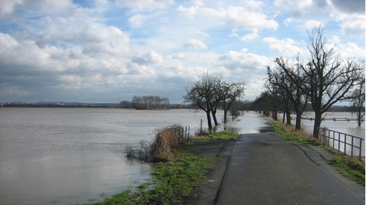 Blick auf das überschwemmte Vogelschutzgebiet Lahnaue zwischen Atzbach und Giessen.