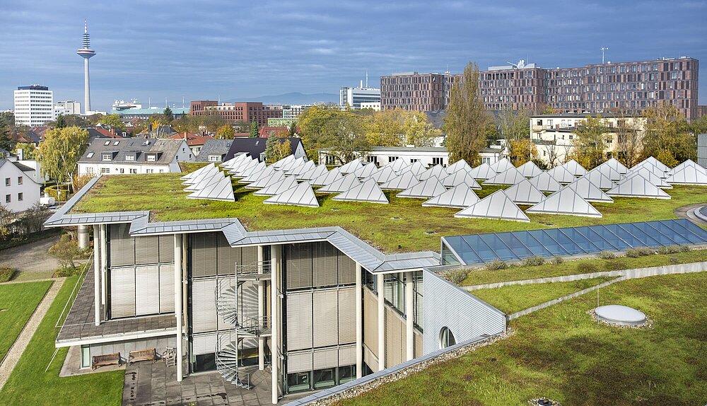 Dachbegrünung in Frankfurt