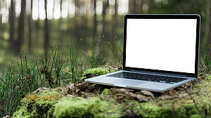 Laptop steht auf einem Baumstumpf im Wald.