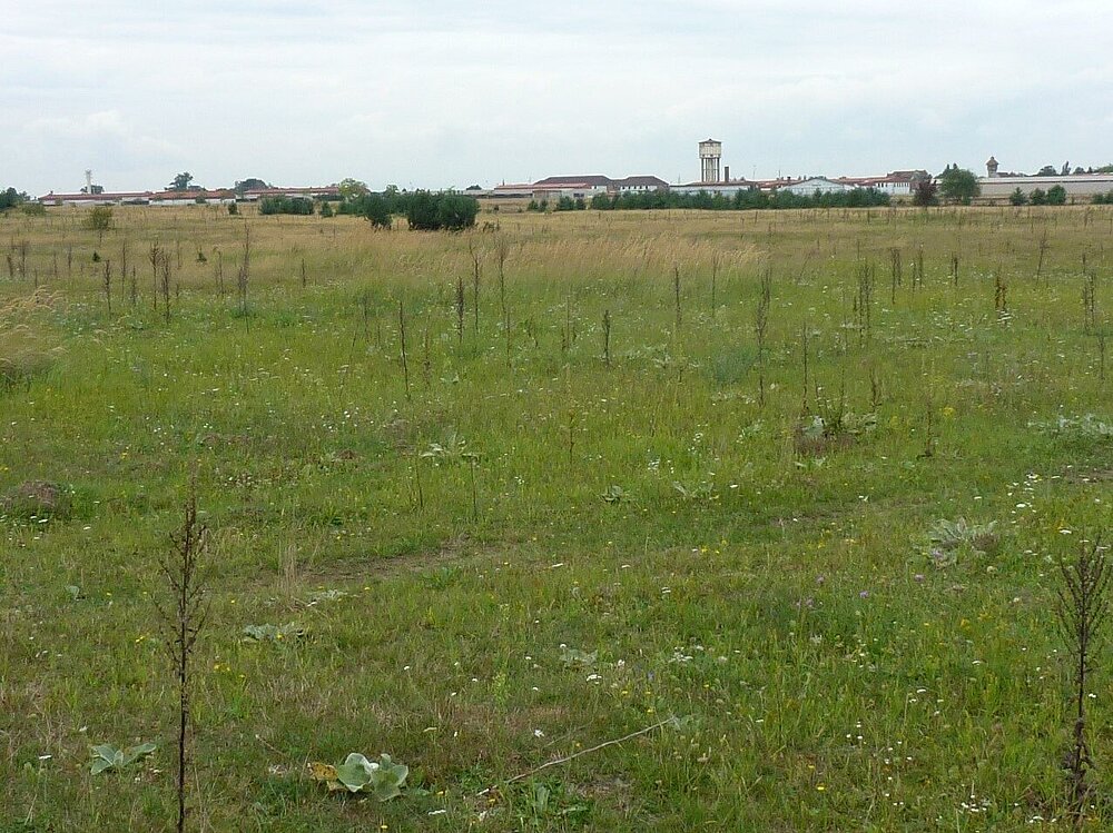 Das Vogelschutzgebiet In den Rödern bei Babenhausen mit Blick auf mageres Grünland.