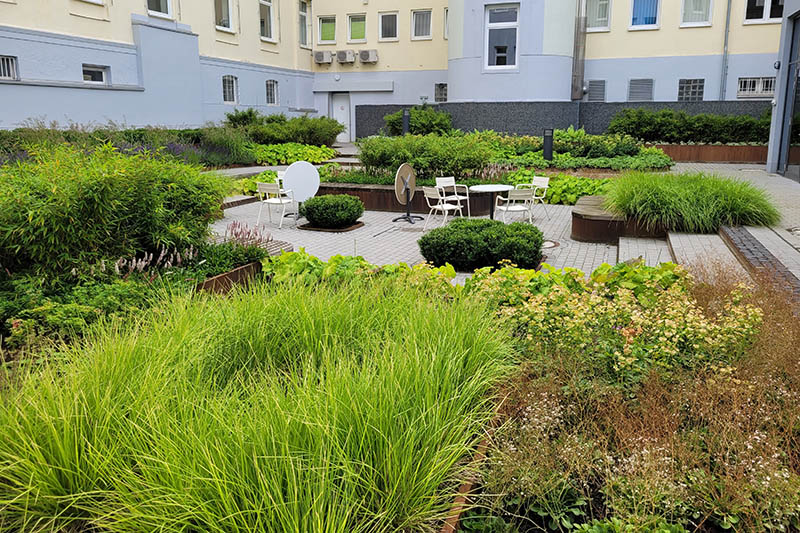 Foto eines Innenhofs mit begrünten Außenflächen