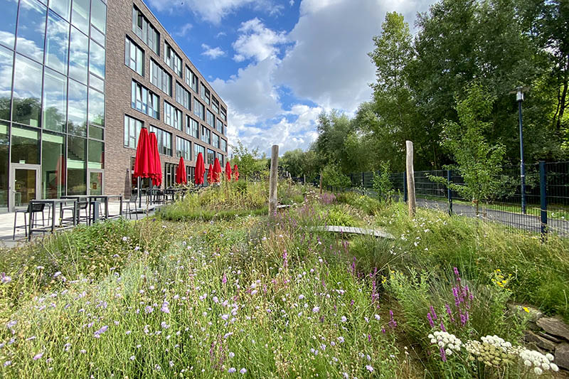 Foto üppig begrünter Pausenräume auf einem Firmengelände