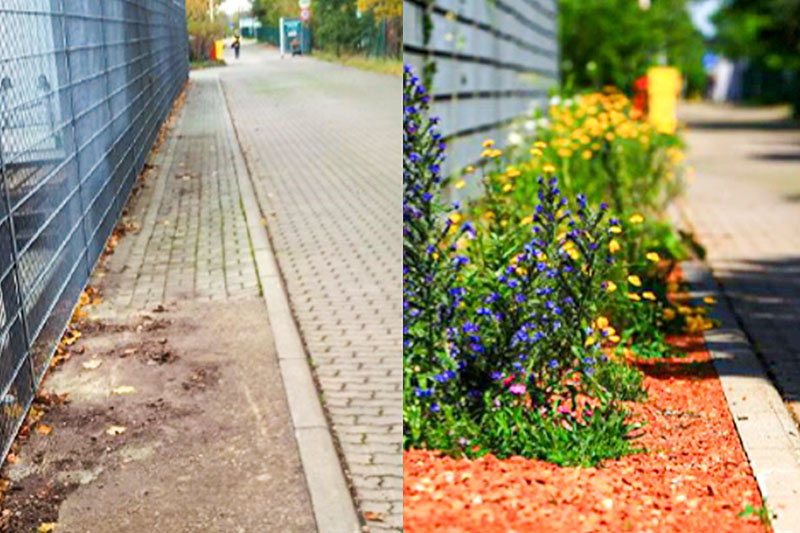 Vorher-Nachher-Vergleich zwischen einer kargen und einer bepflanzten Randfäche an einer Straße.